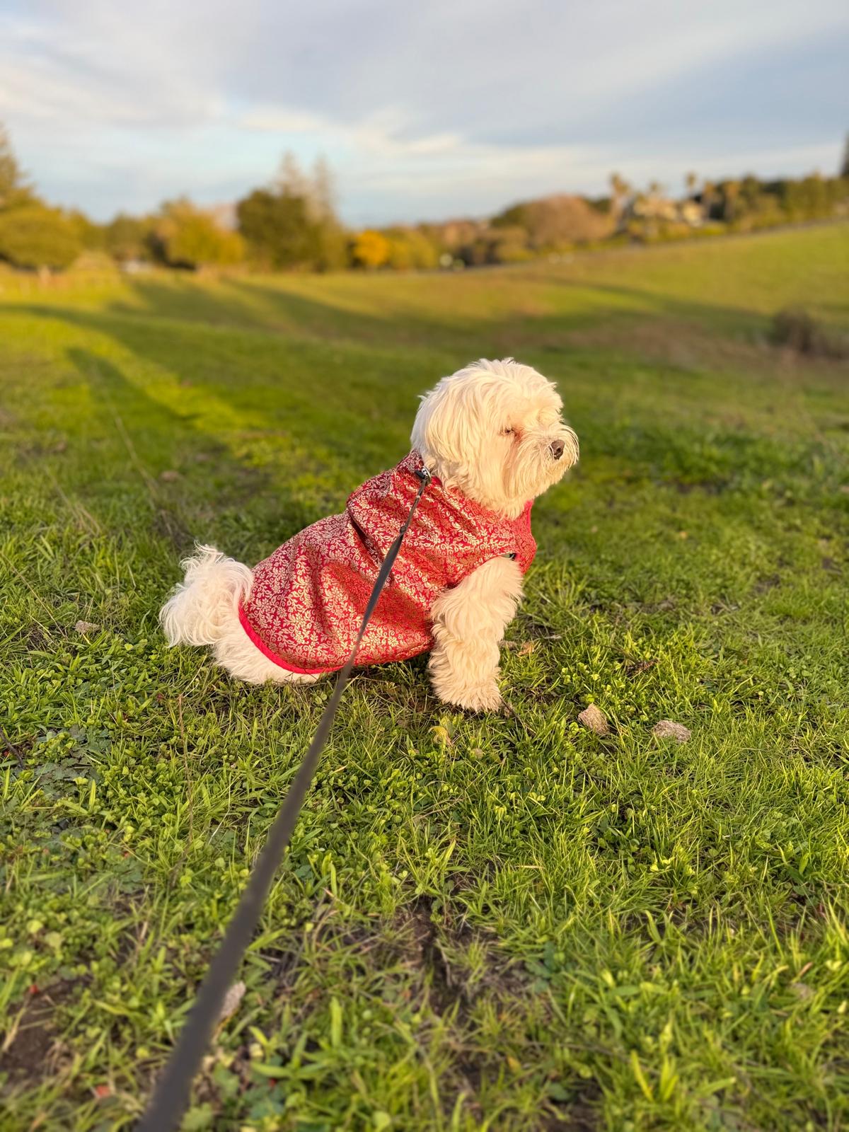 Brocade Jacket
